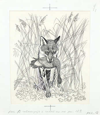 Кузнецов Леонид Трофимович. Макет из 27 иллюстраций и книга К.Д. Ушинского «Рассказы и сказки» (М.: Дет. лит., 1975)